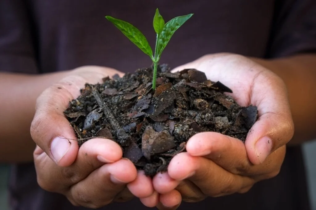 biochar-1024x682 - Solaxy Group